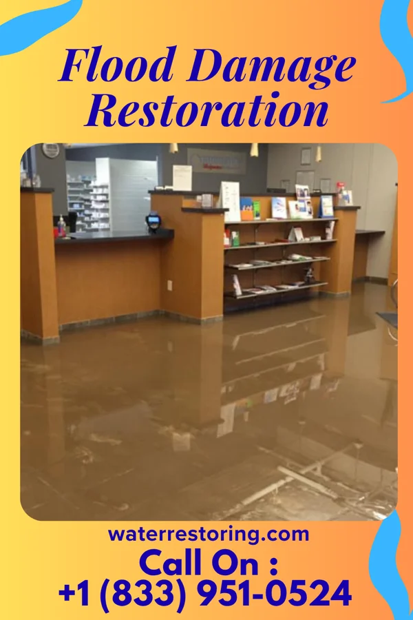 Flood Damage Restoration in Wayne, OH