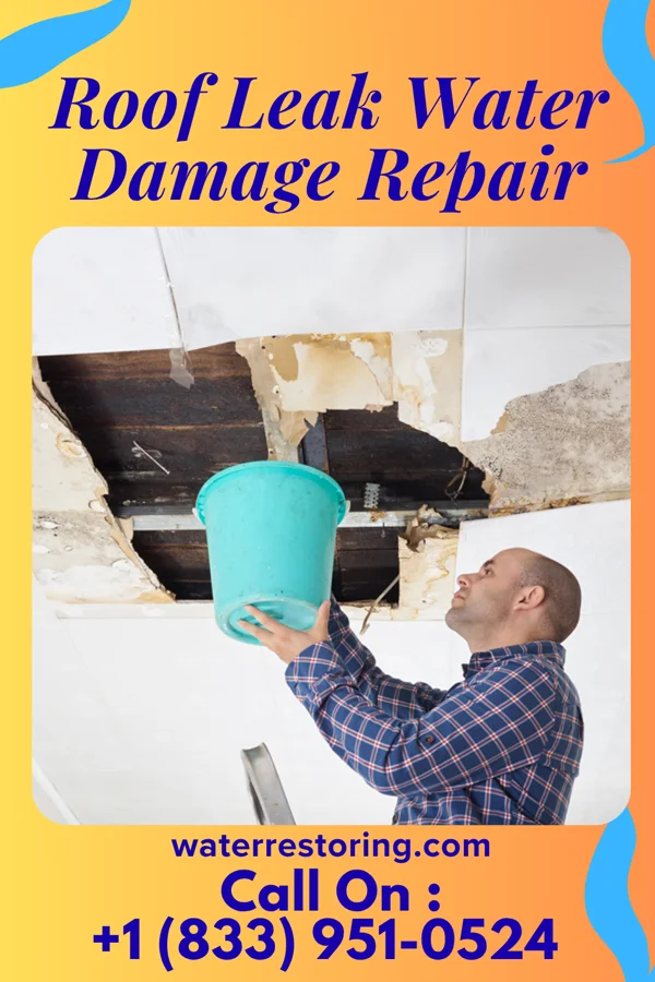 Roof Leak Water Damage Repair in Wayne, OH