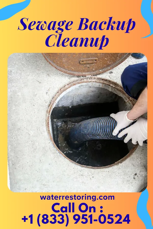 Sewage Backup Cleanup in Wayne, OH