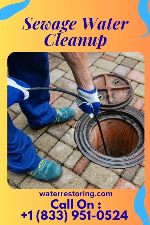 Sewage Water Cleanup in Wayne, OH