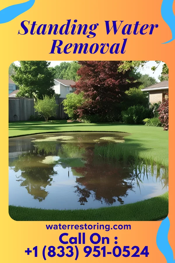 Standing Water Removal in Wayne, OH